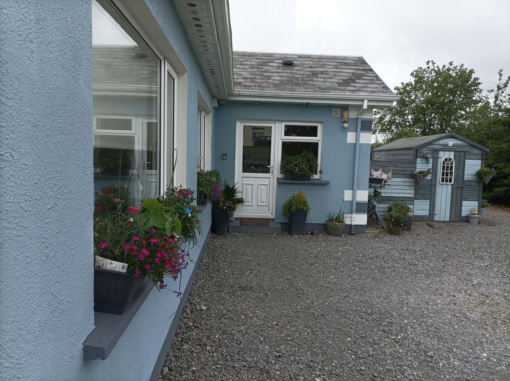 Clifden Wildflower Cottage - Clifden Countryside Lettings Exterior foto