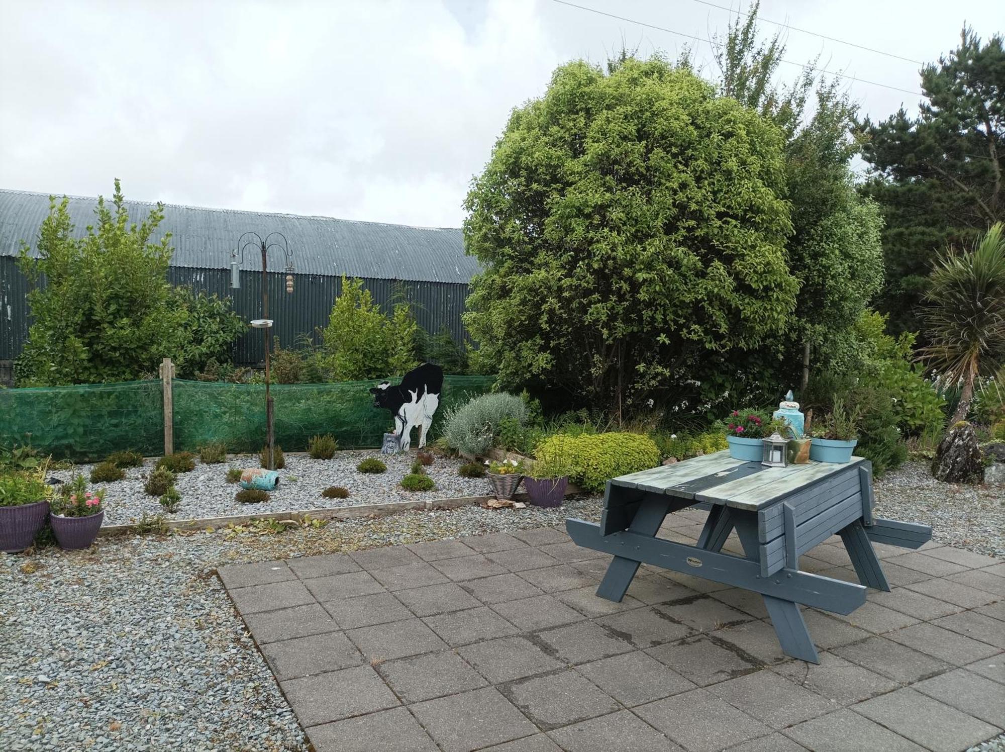 Clifden Wildflower Cottage - Clifden Countryside Lettings Exterior foto